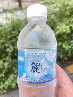 十六夜 京也